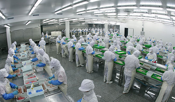 食品廠房 食品廠房