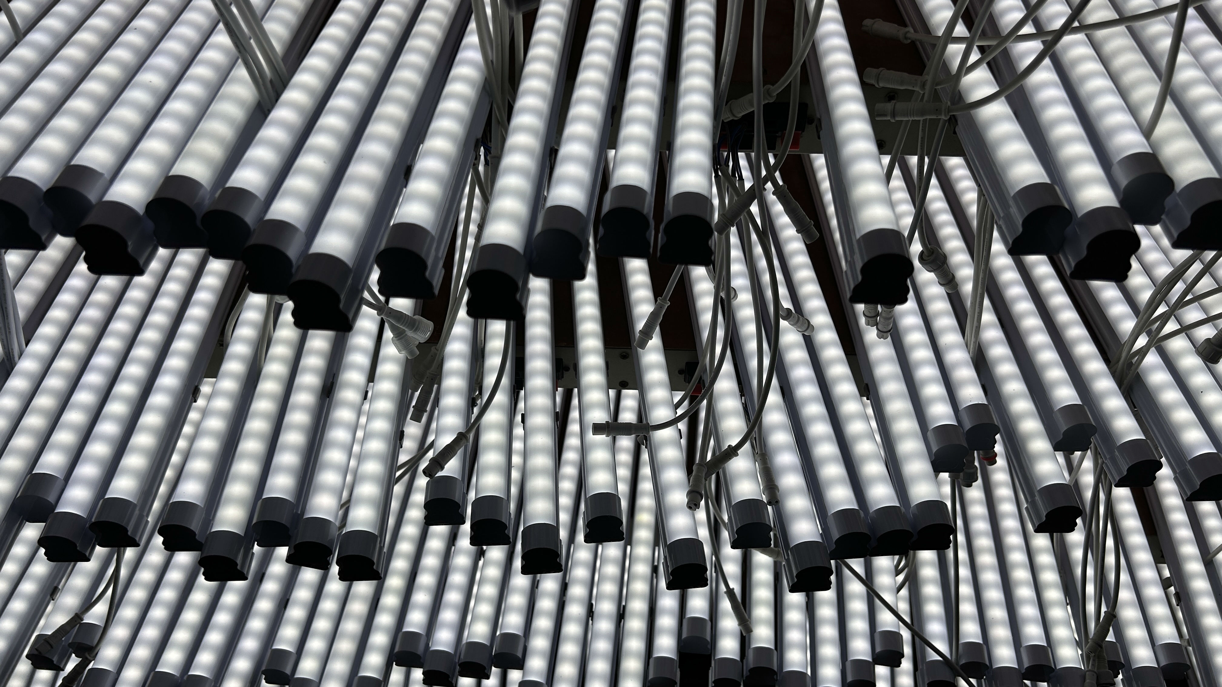 2025_02_24_17_46_IMG_6266(1).jpg 2025_02_24_17_46_IMG_6266(1).jpg