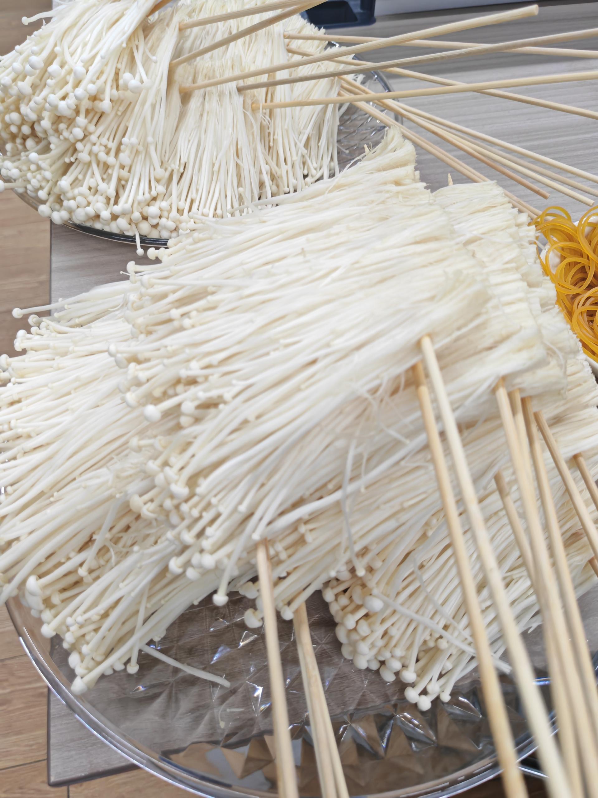 92f4affa3e79c5f6dda5cfb9dc97e41d_compress.jpg 92f4affa3e79c5f6dda5cfb9dc97e41d_compress.jpg